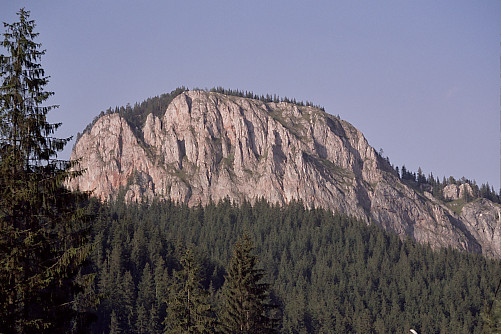 Foto: Rennkuckuck &copy;