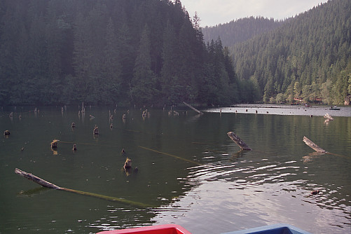 Foto: Rennkuckuck &copy;