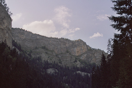 Foto: Rennkuckuck &copy;