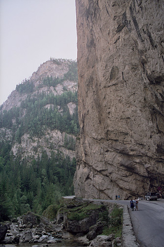 Foto: Rennkuckuck &copy;