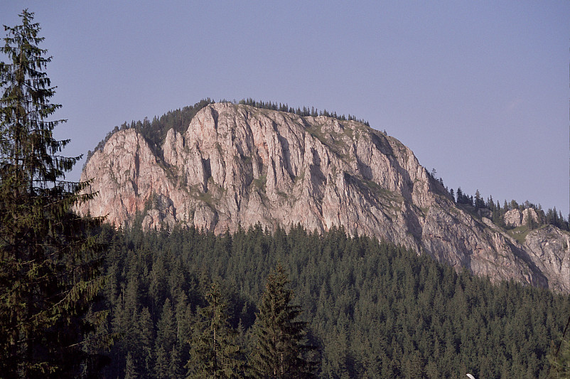 Foto: Rennkuckuck &copy;