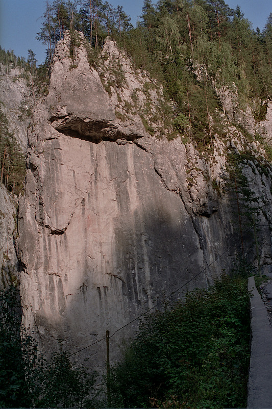 Foto: Rennkuckuck &copy;