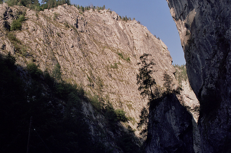 Foto: Rennkuckuck &copy;