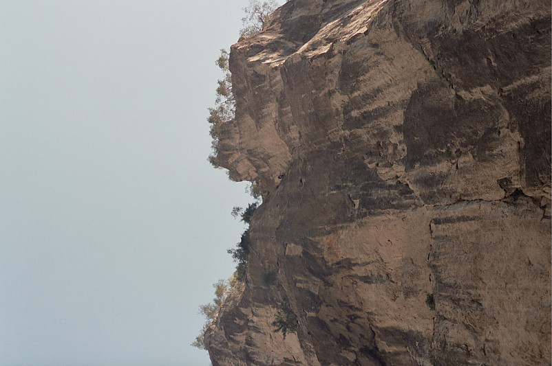 Foto: Rennkuckuck &copy;