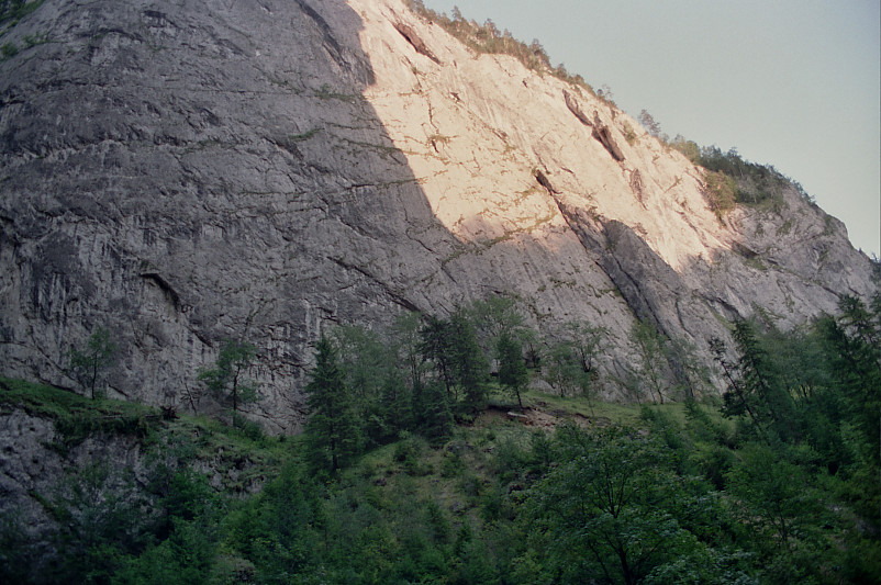 Foto: Rennkuckuck &copy;