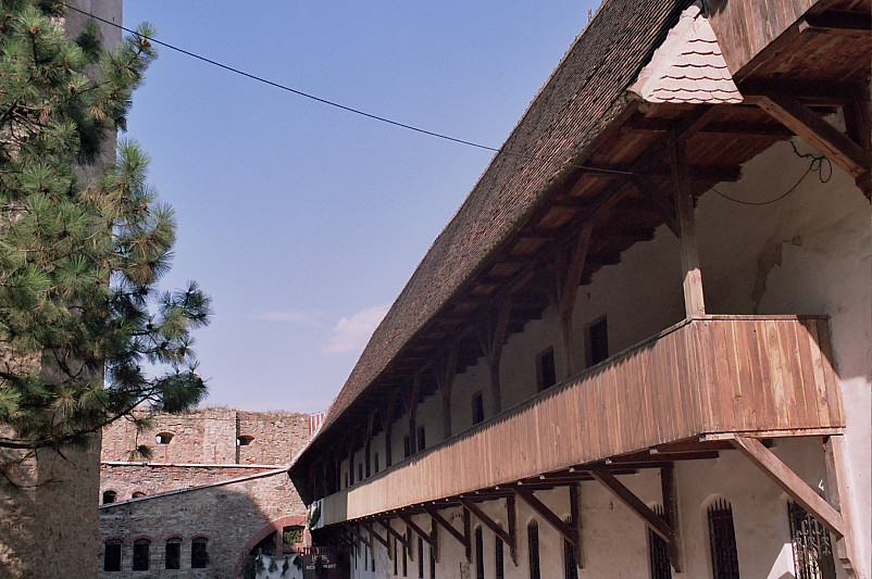 Foto: Rennkuckuck &copy;