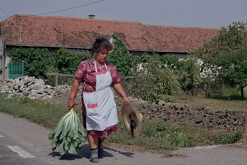 Foto: Rennkuckuck &copy;