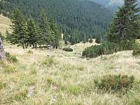 11.08.2012 14:25:57
11.08.2012
Rumänien 2012
Rumänienfotos