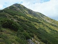 11.08.2012 14:55:28
11.08.2012
Rumänien 2012
Rumänienfotos