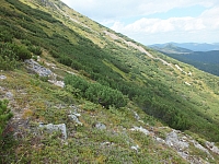 11.08.2012 14:55:41
11.08.2012
Rumänien 2012
Rumänienfotos