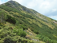 11.08.2012 14:58:20
11.08.2012
Rumänien 2012
Rumänienfotos