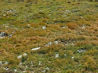 11.08.2012 16:55:45
11.08.2012
Rumänien 2012
Rumänienfotos