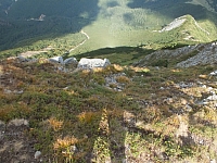 11.08.2012 17:00:29
11.08.2012
Rumänien 2012
Rumänienfotos