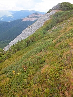 11.08.2012 17:22:25
11.08.2012
Rumänien 2012
Rumänienfotos