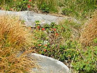 11.08.2012 17:25:05
11.08.2012
Rumänien 2012
Rumänienfotos