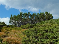 11.08.2012 17:25:36
11.08.2012
Rumänien 2012
Rumänienfotos