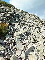 11.08.2012 17:28:26
11.08.2012
Rumänien 2012
Rumänienfotos