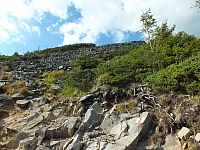 11.08.2012 17:29:19
11.08.2012
Rumänien 2012
Rumänienfotos