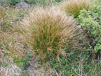 11.08.2012 17:30:54
11.08.2012
Rumänien 2012
Rumänienfotos