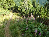 11.08.2012 17:45:04
11.08.2012
Rumänien 2012
Rumänienfotos