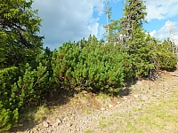 11.08.2012 17:58:16
11.08.2012
Rumänien 2012
Rumänienfotos