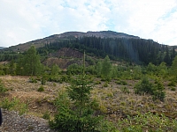 11.08.2012 18:44:41
11.08.2012
Rumänien 2012
Rumänienfotos