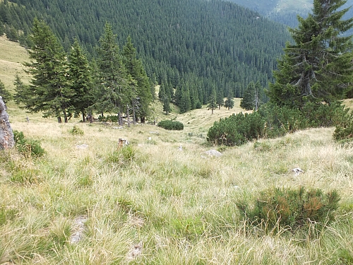 &copy; R.Thiel
11.08.2012 14:25:57
11.08.2012
Rumänien 2012
Rumänienfotos