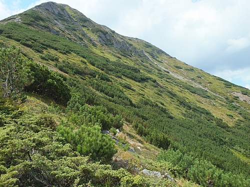 &copy; R.Thiel
11.08.2012 14:58:20
11.08.2012
Rumänien 2012
Rumänienfotos