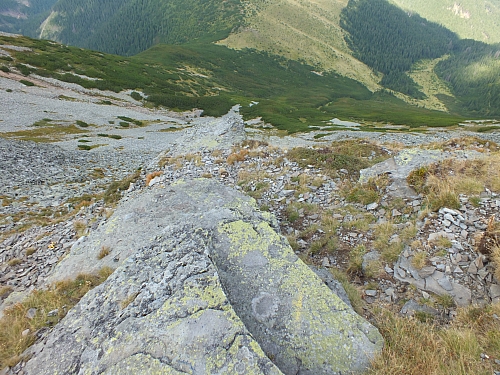 &copy; R.Thiel
11.08.2012 16:21:20
11.08.2012
Rumänien 2012
Rumänienfotos