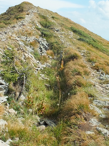 &copy; R.Thiel
11.08.2012 16:55:23
11.08.2012
Rumänien 2012
Rumänienfotos