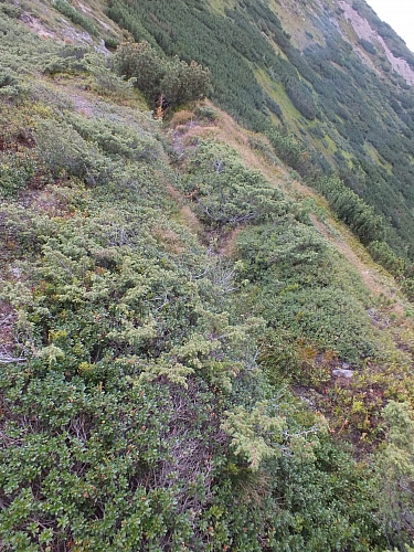 &copy; R.Thiel
11.08.2012 17:23:12
11.08.2012
Rumänien 2012
Rumänienfotos