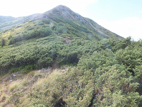 &copy; R.Thiel
11.08.2012 17:24:08
11.08.2012
Rumänien 2012
Rumänienfotos