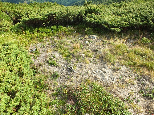 &copy; R.Thiel
11.08.2012 17:24:23
11.08.2012
Rumänien 2012
Rumänienfotos