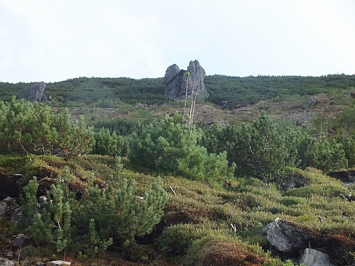 &copy; R.Thiel
11.08.2012 18:33:30
11.08.2012
Rumänien 2012
Rumänienfotos