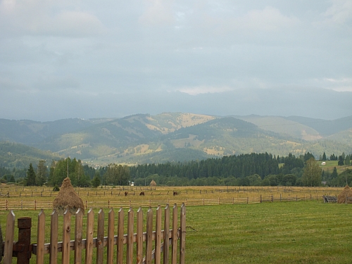 &copy; R.Thiel
11.08.2012 19:18:37
11.08.2012
Rumänien 2012
Rumänienfotos