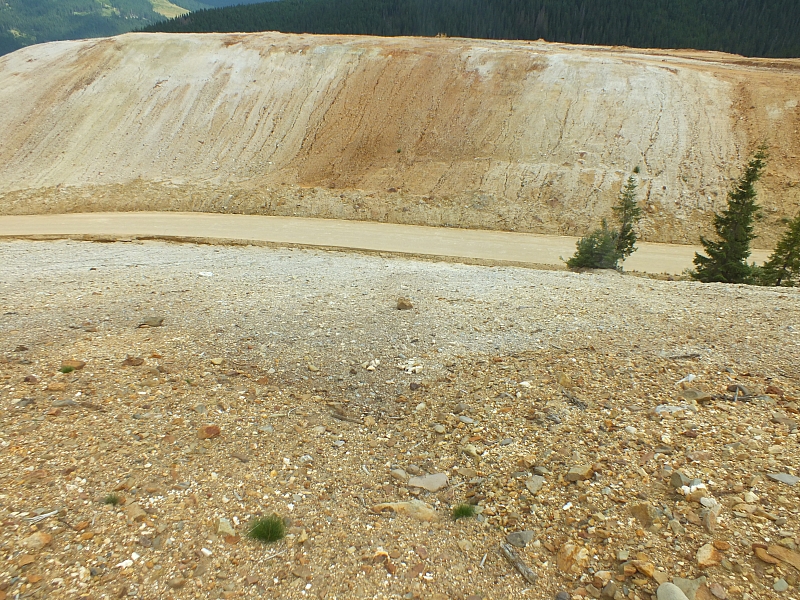 &copy; R.Thiel
11.08.2012 13:26:35
11.08.2012
Rumänien 2012
Rumänienfotos