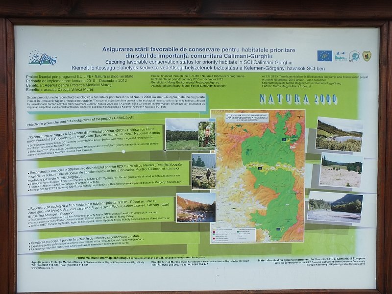 &copy; R.Thiel
11.08.2012 14:15:12
11.08.2012
Rumänien 2012
Rumänienfotos