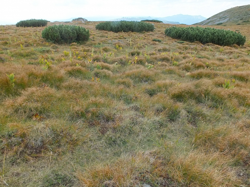 &copy; R.Thiel
11.08.2012 15:45:21
11.08.2012
Rumänien 2012
Rumänienfotos