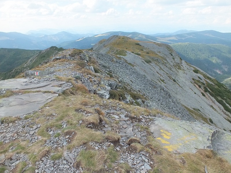 &copy; R.Thiel
11.08.2012 16:20:51
11.08.2012
Rumänien 2012
Rumänienfotos