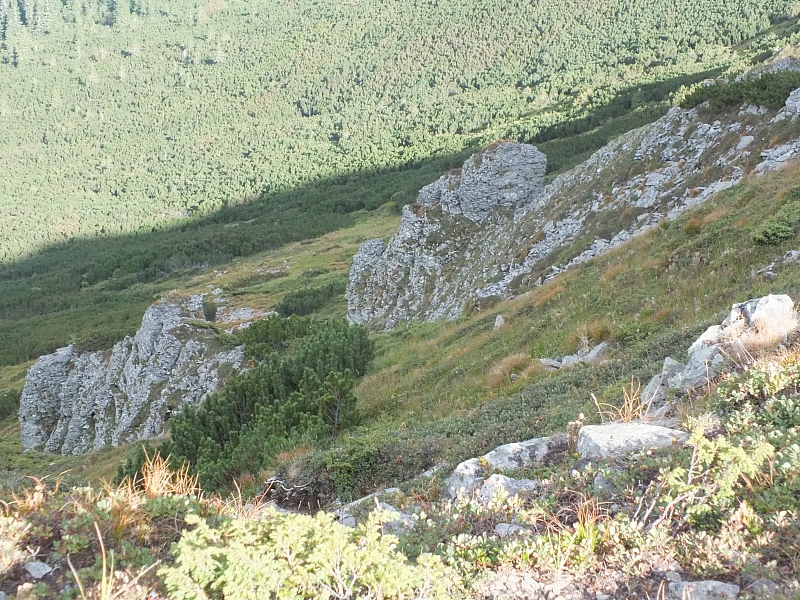 &copy; R.Thiel
11.08.2012 16:57:03
11.08.2012
Rumänien 2012
Rumänienfotos