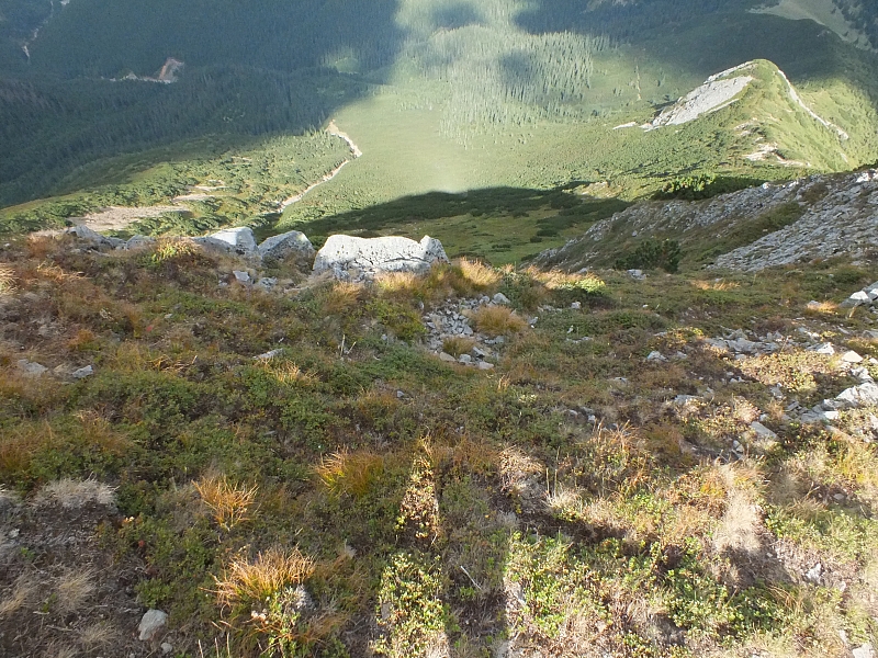 &copy; R.Thiel
11.08.2012 17:00:29
11.08.2012
Rumänien 2012
Rumänienfotos