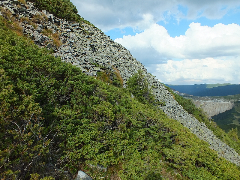 &copy; R.Thiel
11.08.2012 17:27:35
11.08.2012
Rumänien 2012
Rumänienfotos