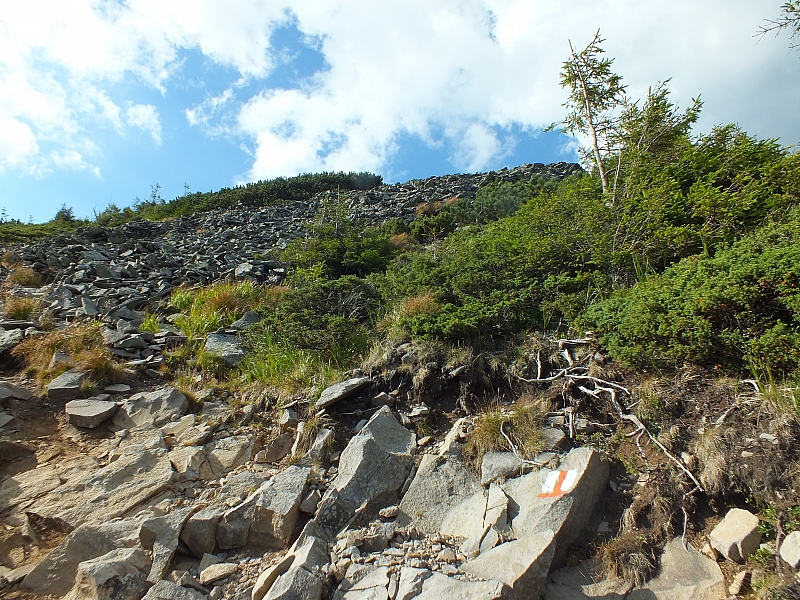 &copy; R.Thiel
11.08.2012 17:29:19
11.08.2012
Rumänien 2012
Rumänienfotos