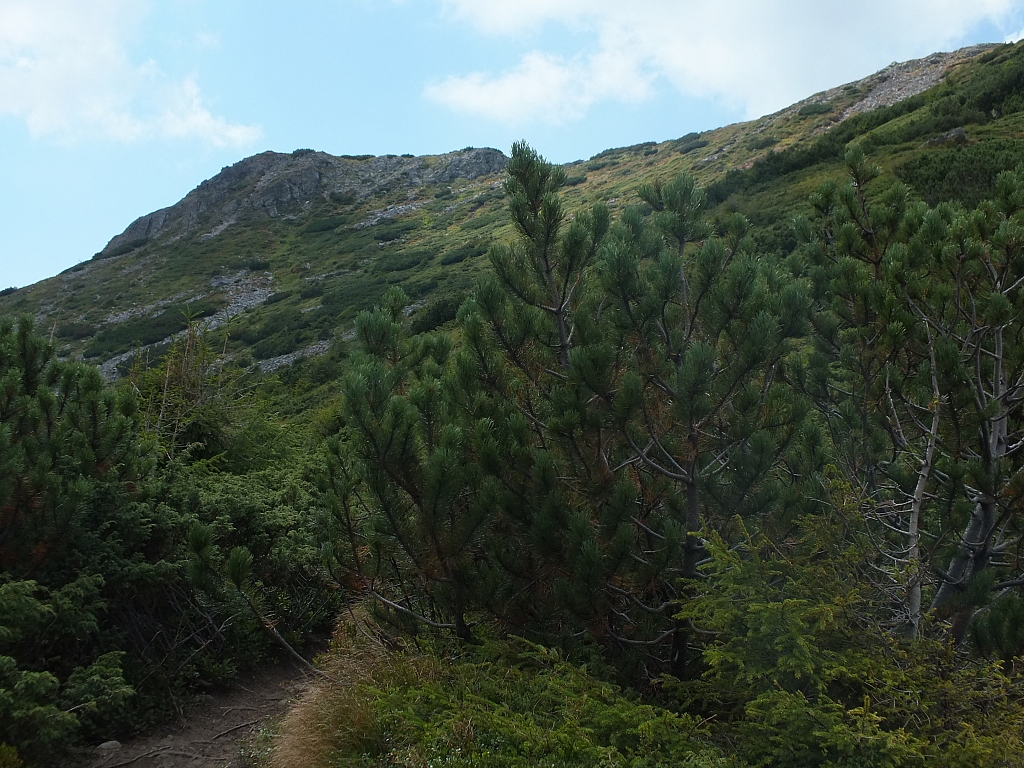 &copy; R.Thiel
11.08.2012 14:55:23
11.08.2012
Rumänien 2012
Rumänienfotos