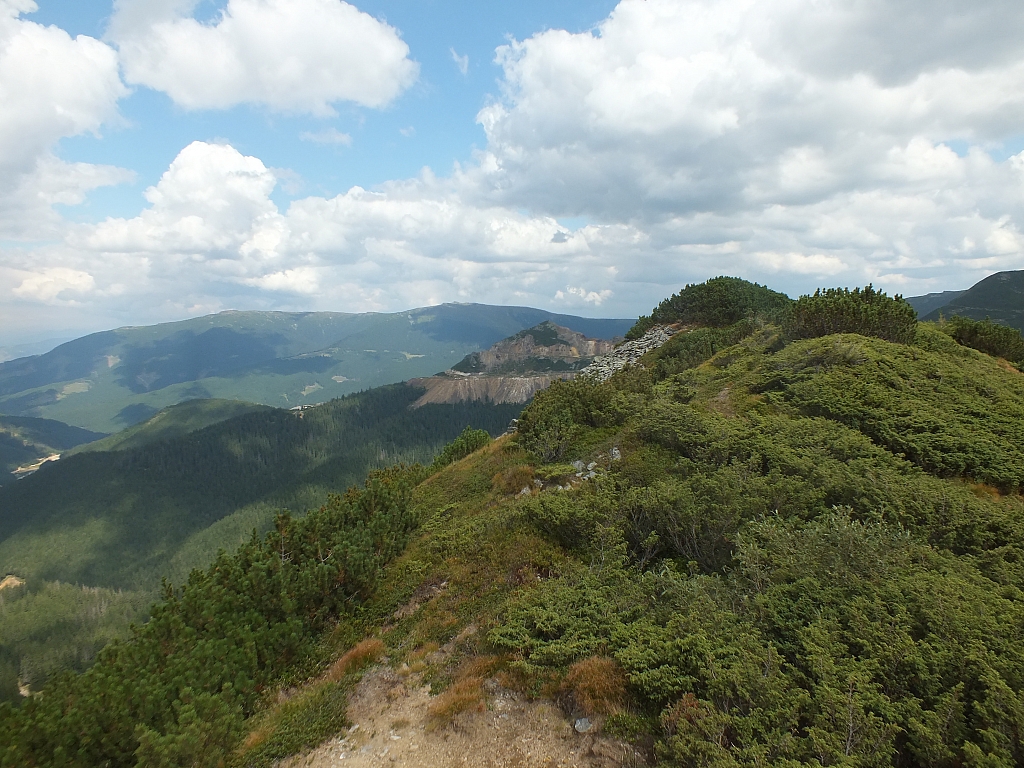 &copy; R.Thiel
11.08.2012 14:56:41
11.08.2012
Rumänien 2012
Rumänienfotos