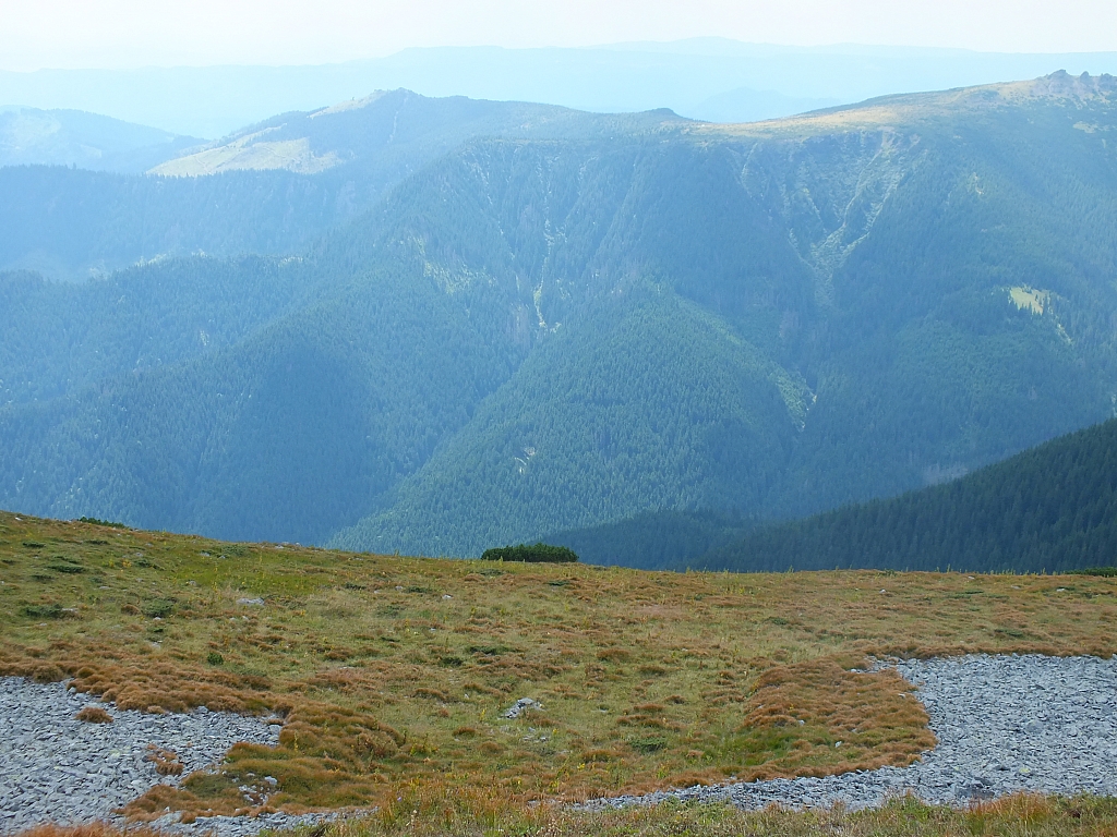 &copy; R.Thiel
11.08.2012 15:30:29
11.08.2012
Rumänien 2012
Rumänienfotos