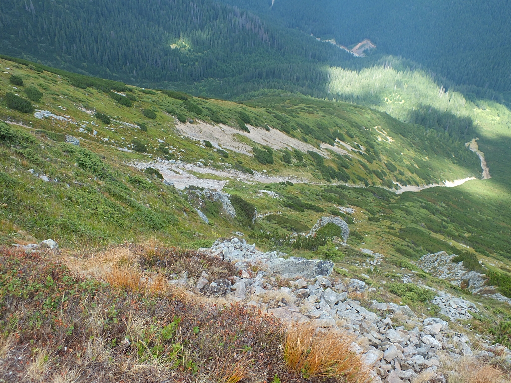 &copy; R.Thiel
11.08.2012 15:31:59
11.08.2012
Rumänien 2012
Rumänienfotos