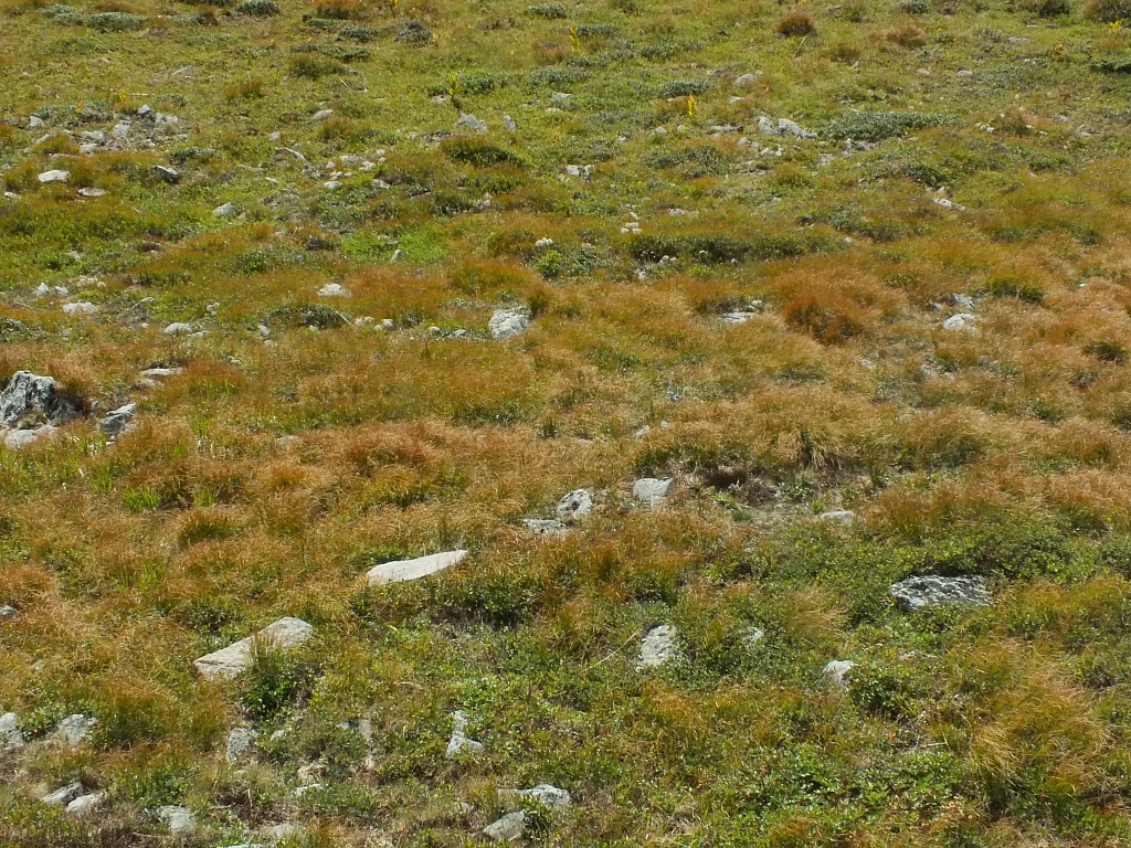 &copy; R.Thiel
11.08.2012 16:55:45
11.08.2012
Rumänien 2012
Rumänienfotos