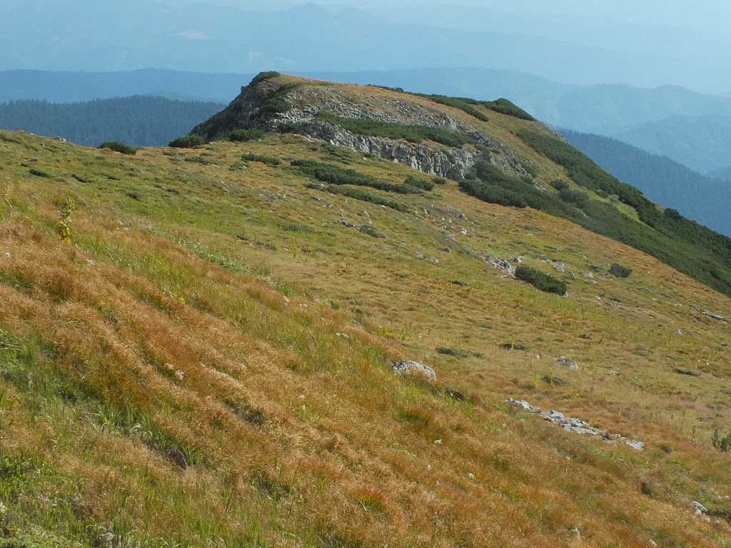 &copy; R.Thiel
11.08.2012 16:56:07
11.08.2012
Rumänien 2012
Rumänienfotos