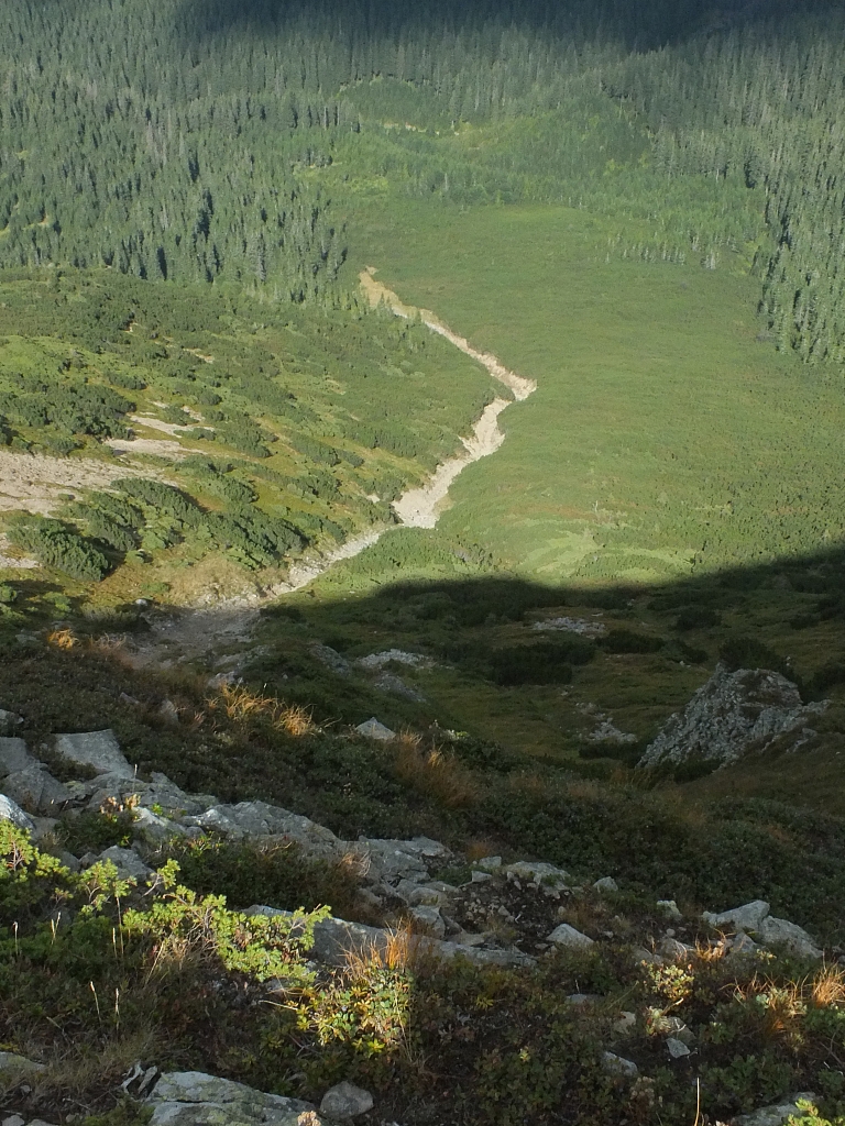 &copy; R.Thiel
11.08.2012 16:57:20
11.08.2012
Rumänien 2012
Rumänienfotos